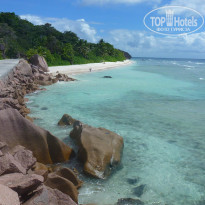 фото из отзыва ID 851730