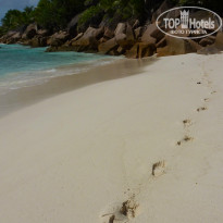 фото из отзыва ID 851730