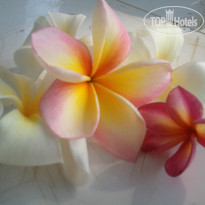 фото из отзыва ID 851636