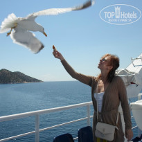 фото из отзыва ID 851811