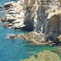 фото из отзыва ID 851811