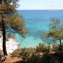 фото из отзыва ID 851811