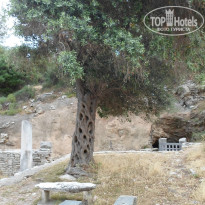 фото из отзыва ID 851811