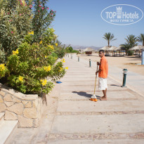 фото из отзыва ID 851843