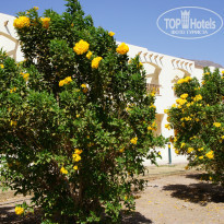 фото из отзыва ID 851843