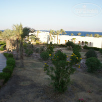 фото из отзыва ID 851843