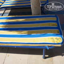 фото из отзыва ID 851843