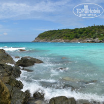 фото из отзыва ID 851887