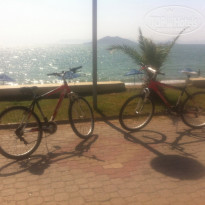 фото из отзыва ID 851814