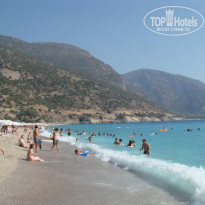 фото из отзыва ID 851814