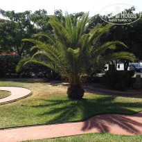 фото из отзыва ID 852087