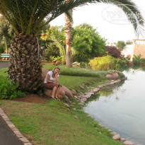 фото из отзыва ID 852236