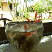 фото из отзыва ID 852512