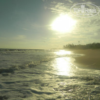 фото из отзыва ID 852512