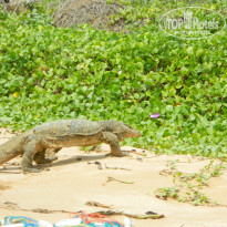 фото из отзыва ID 852512