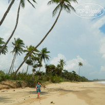 фото из отзыва ID 852512