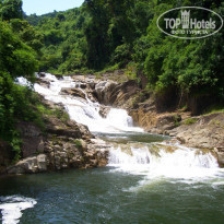 фото из отзыва ID 852559