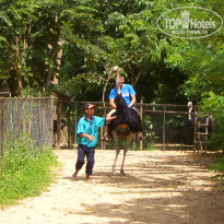 фото из отзыва ID 852559