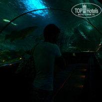 фото из отзыва ID 852559