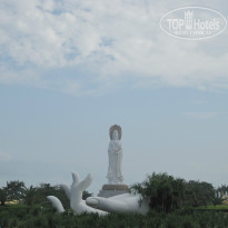 фото из отзыва ID 852915