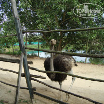 фото из отзыва ID 852752