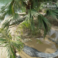 фото из отзыва ID 852752