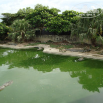 фото из отзыва ID 852752