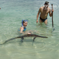 фото из отзыва ID 852752