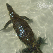 фото из отзыва ID 852752