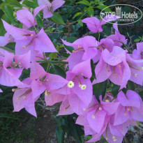 фото из отзыва ID 852685
