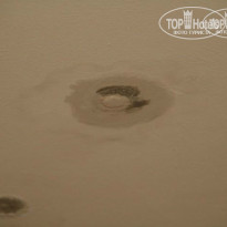 фото из отзыва ID 853147