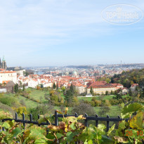 фото из отзыва ID 853183