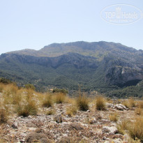 фото из отзыва ID 853202