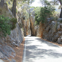 фото из отзыва ID 853202