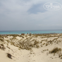 фото из отзыва ID 853202