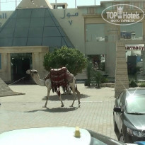 фото из отзыва ID 853225