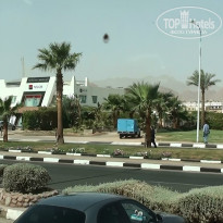 фото из отзыва ID 853225