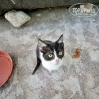 фото из отзыва ID 853416