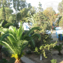 фото из отзыва ID 853476