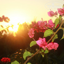 фото из отзыва ID 853519