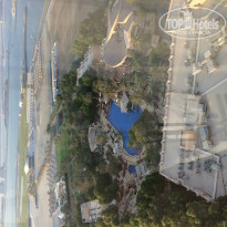 фото из отзыва ID 853536