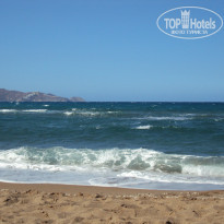 фото из отзыва ID 853646