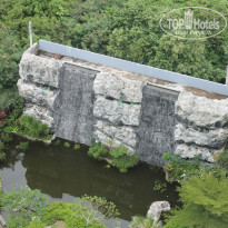 фото из отзыва ID 853792