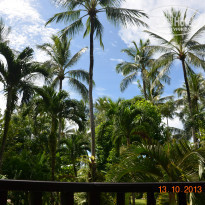 фото из отзыва ID 853820