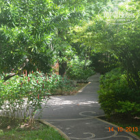 фото из отзыва ID 853820