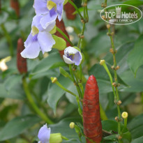 фото из отзыва ID 853820