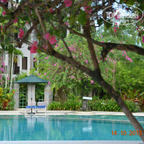 фото из отзыва ID 853820