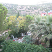 фото из отзыва ID 853871