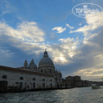 фото из отзыва ID 853336