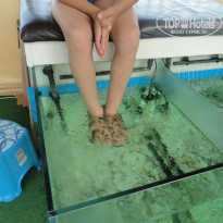 фото из отзыва ID 854034